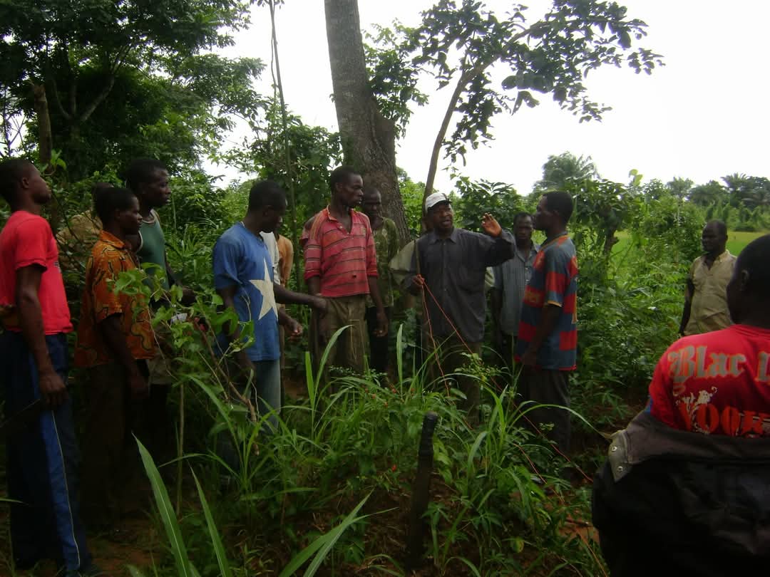 Environment and Social Justice