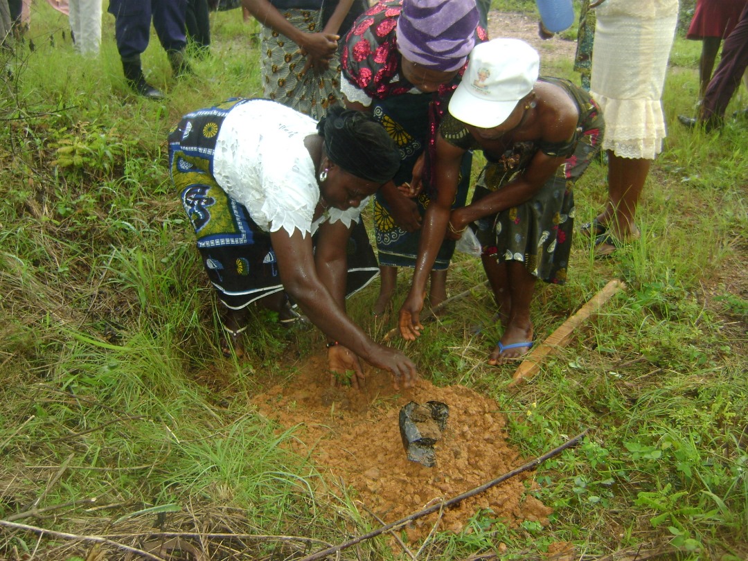 Agriculture and Livelihoods